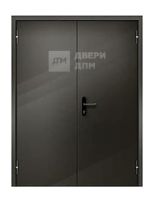 Дверь уличная двустворчатая для высоких зданий (системы пожарной защиты) ДП-461